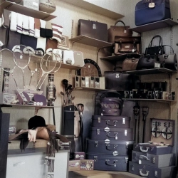 Argyle Street Interior of Whitleys sports shop 1964.