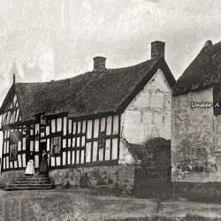 Cock O’Barton (3)