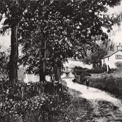 Froncysyllte Argoed Farm