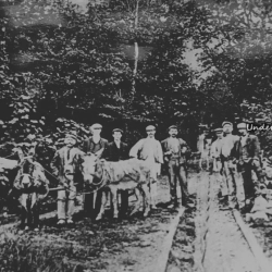 Froncysyllte Chirk Castle Lime &; Stone Company The tramway leading to the Lime Kilns on the A5