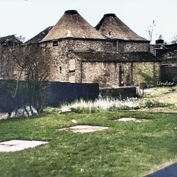 Island Green 1991