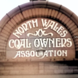 Maesgwyn Road Miners REscue Centre