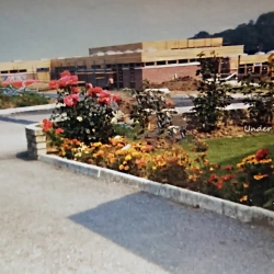 1973 Marchwiel School construction