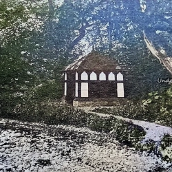 Pentre Bychan woods 1904