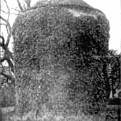 Pentrebychan Hall, The Dovecote 1903