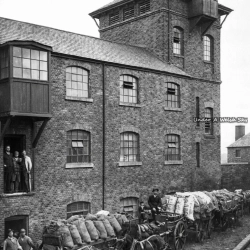 The Victoria Mills